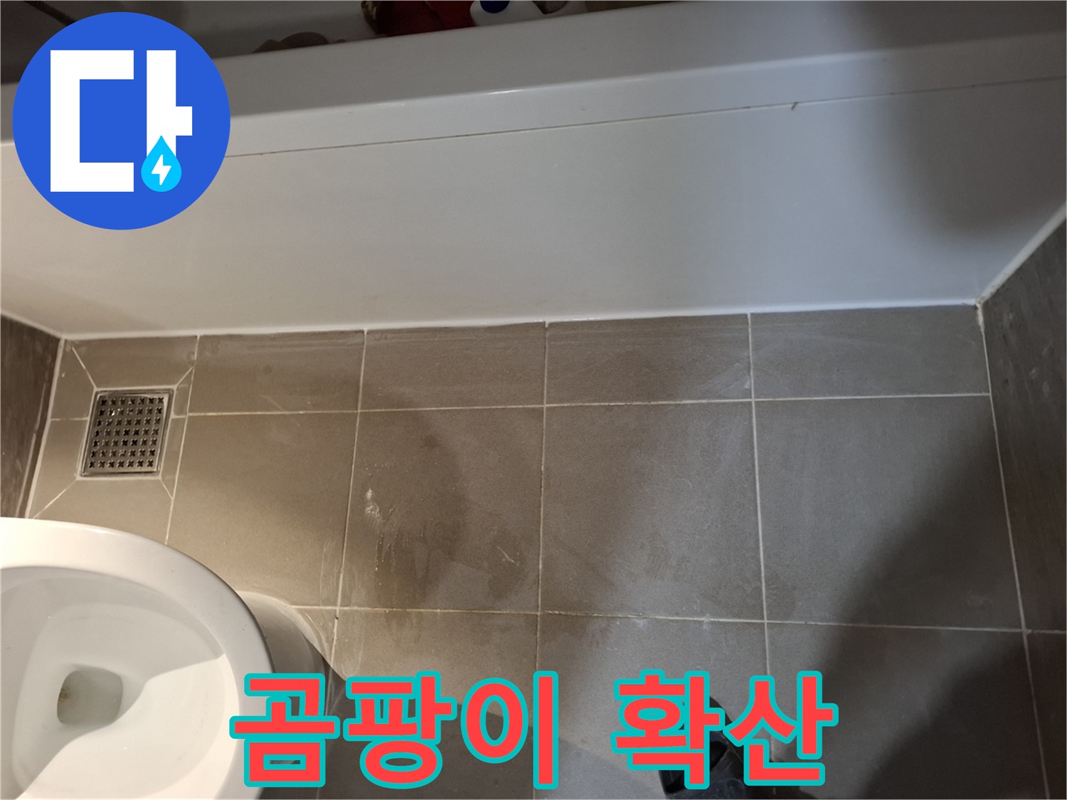 욕조 하단 타일 틈새 곰팡이 확산 - 건강 위협
