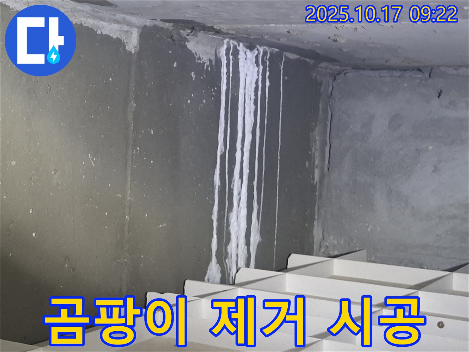 분당 봇들마을 누수 - 석회 누수 차단과 함께 곰팡이까지 완벽하게 제거합니다.