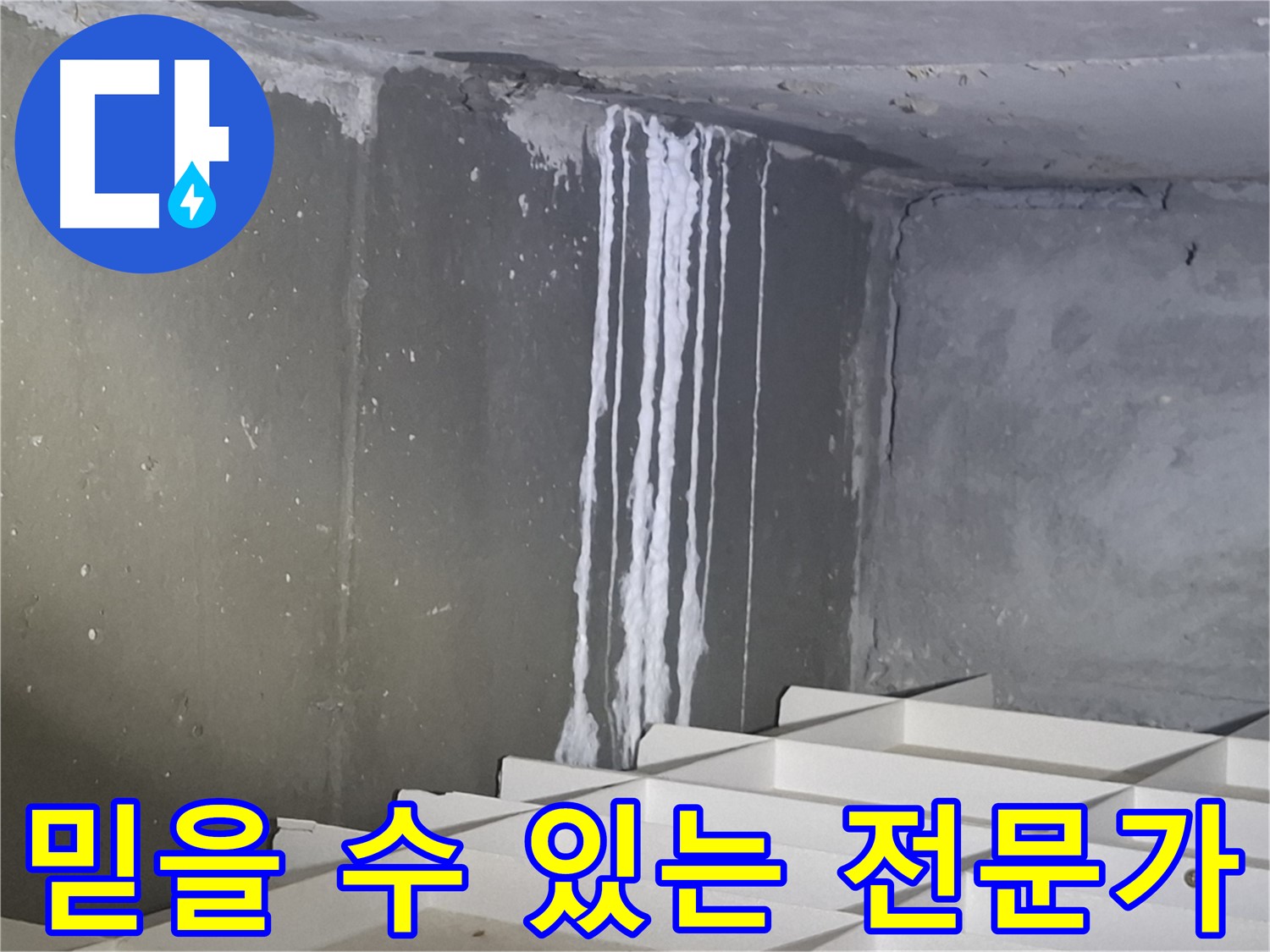 분당 봇들마을 아파트 누수 - 믿을 수 있는 누수 전문가가 책임지고 해결