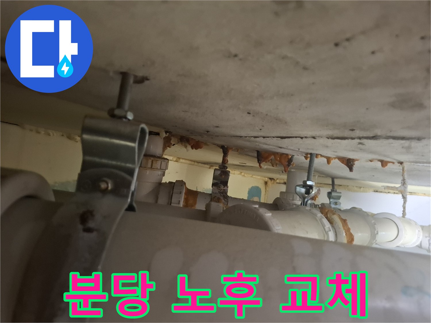 분당 봇들마을 아파트 - 배관 상태 점검, 노후 배관 교체 필요, 상세 상담 진행