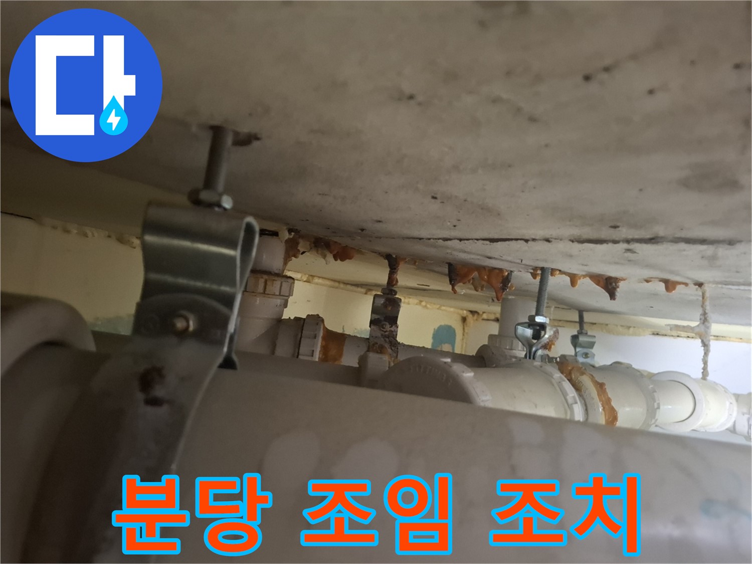 분당 봇들마을 아파트 - 배관 연결 부위 조임 불량, 즉시 조치 완료, 안심하세요