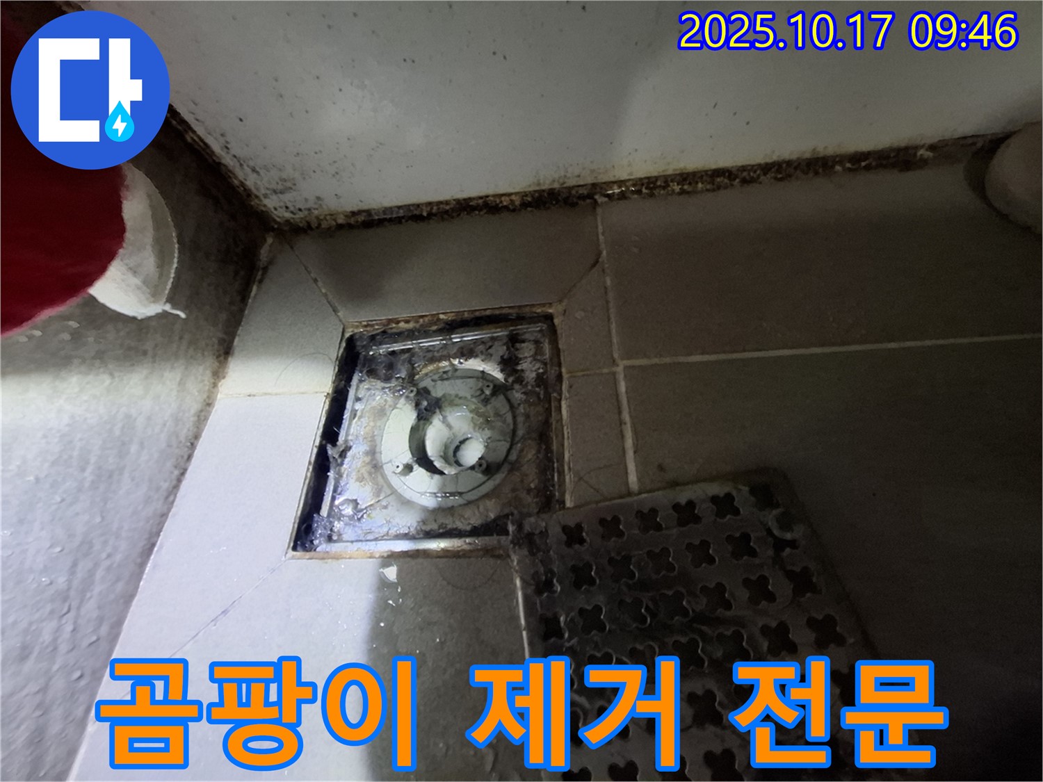 분당 봇들마을 아파트 욕실 배수구 곰팡이 제거 - 누수 방지 전문 업체 - 쾌적한 욕실 환경을 책임집니다.