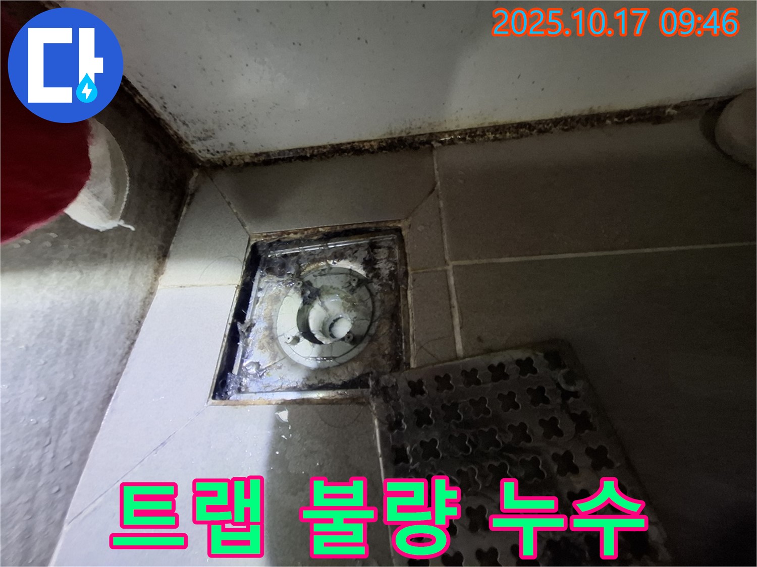 분당 봇들마을 아파트 욕실 배수구 트랩 불량으로 인한 누수 - 불량 트랩을 교체하여 누수를 완벽하게 해결합니다.