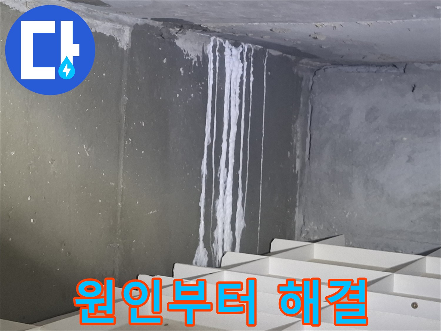 분당 봇들마을 아파트 - 지하 석회 누수, 원인부터 해결까지 책임