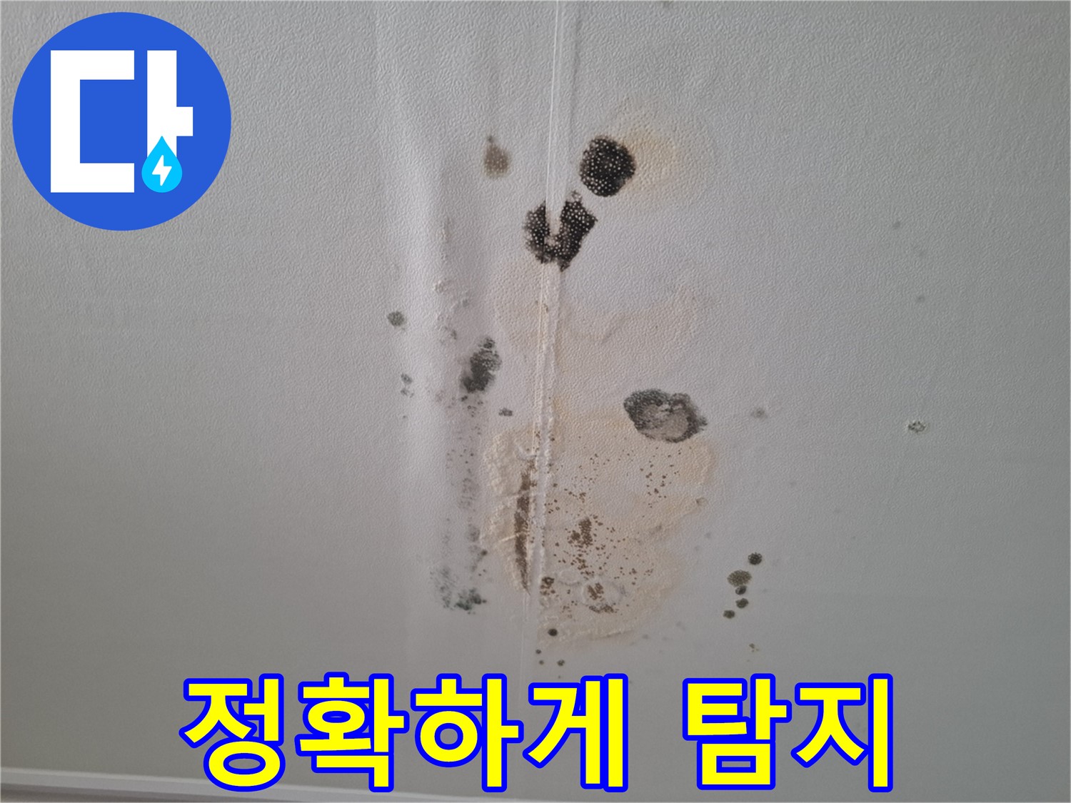 분당 봇들마을2단지 아파트 누수 - 누수 지점, 정확하게 탐지