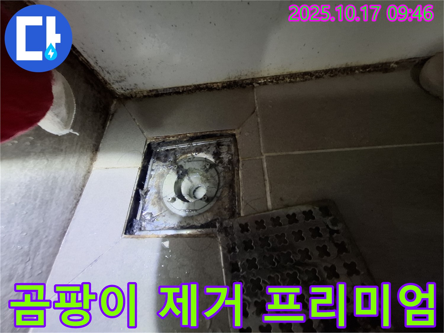 분당 봇들마을2단지 아파트 욕실 배수구 곰팡이 제거 - 누수 완벽 차단 프리미엄 시공 - 쾌적한 욕실 환경을 만들어 드립니다.