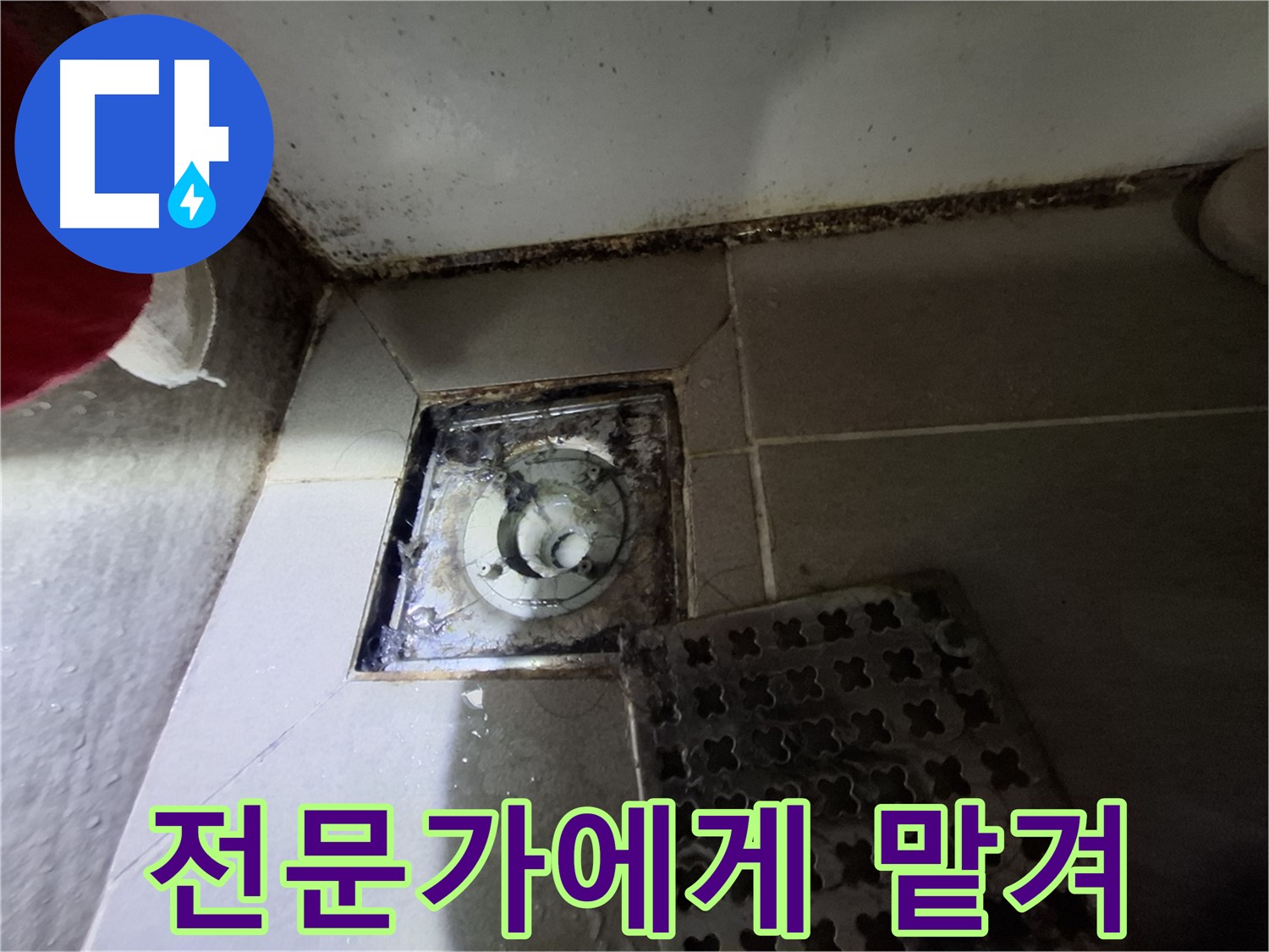 분당 봇들마을2단지 욕실 - 곰팡이는 초기 누수 신호 - 전문가에게 맡기세요