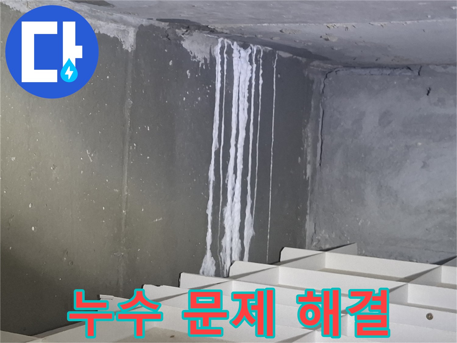 분당 삼평동 봇들마을 누수 해결 - 완벽한 기술력으로 문제 해결