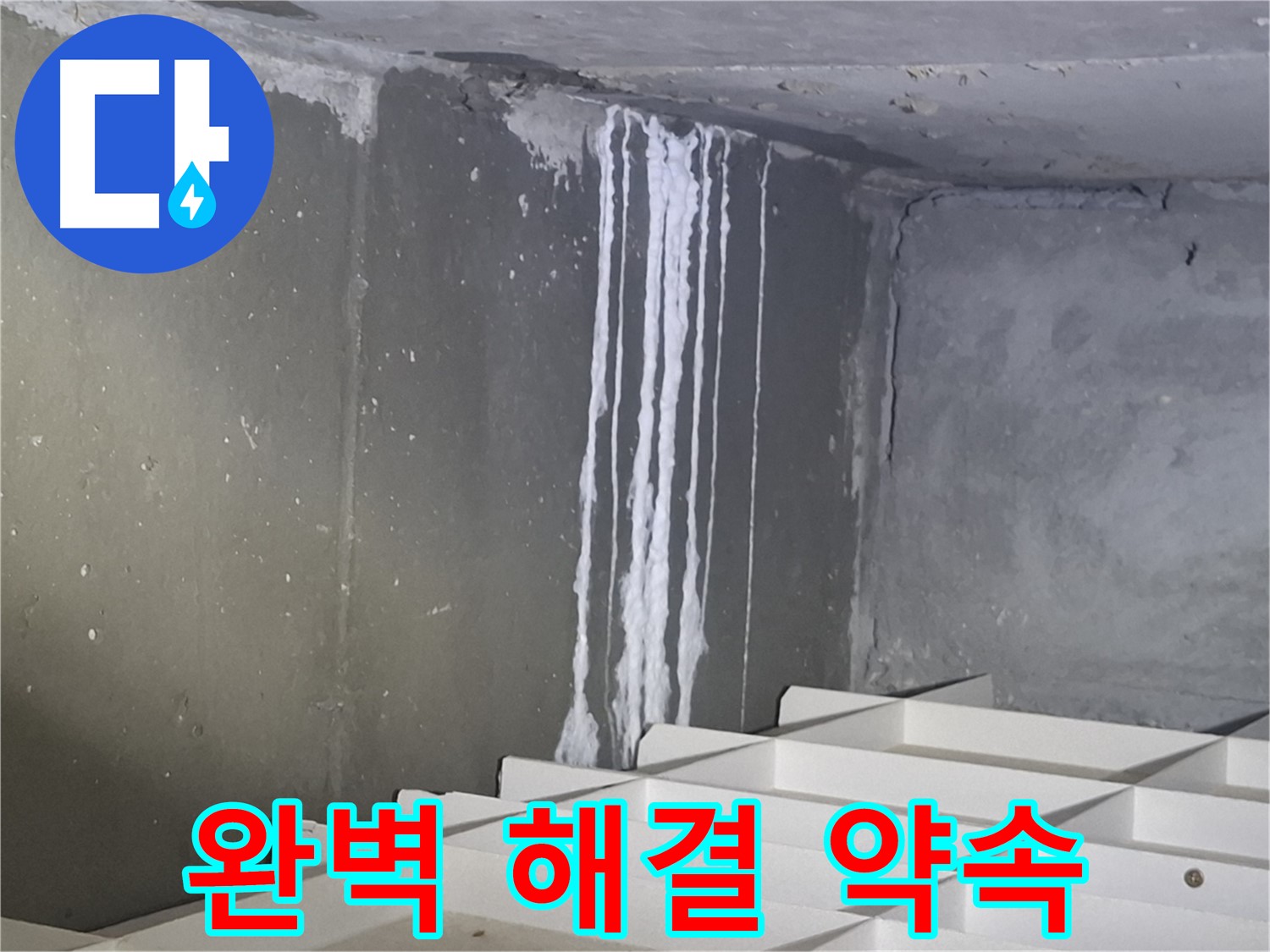 분당 삼평동 봇들마을 아파트 누수 - 완벽하게 누수 공사를 약속드립니다