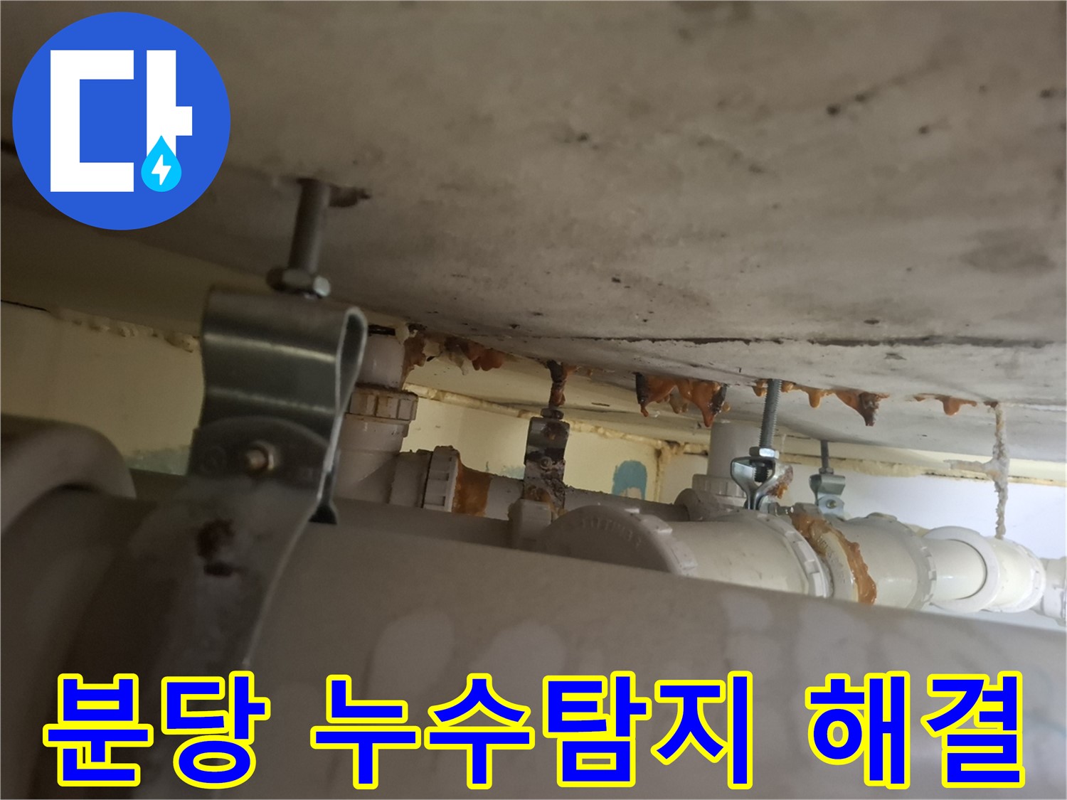 분당 삼평동 봇들마을 아파트 누수 - 완벽한 탐지와 확실한 해결로 누수 걱정 끝!