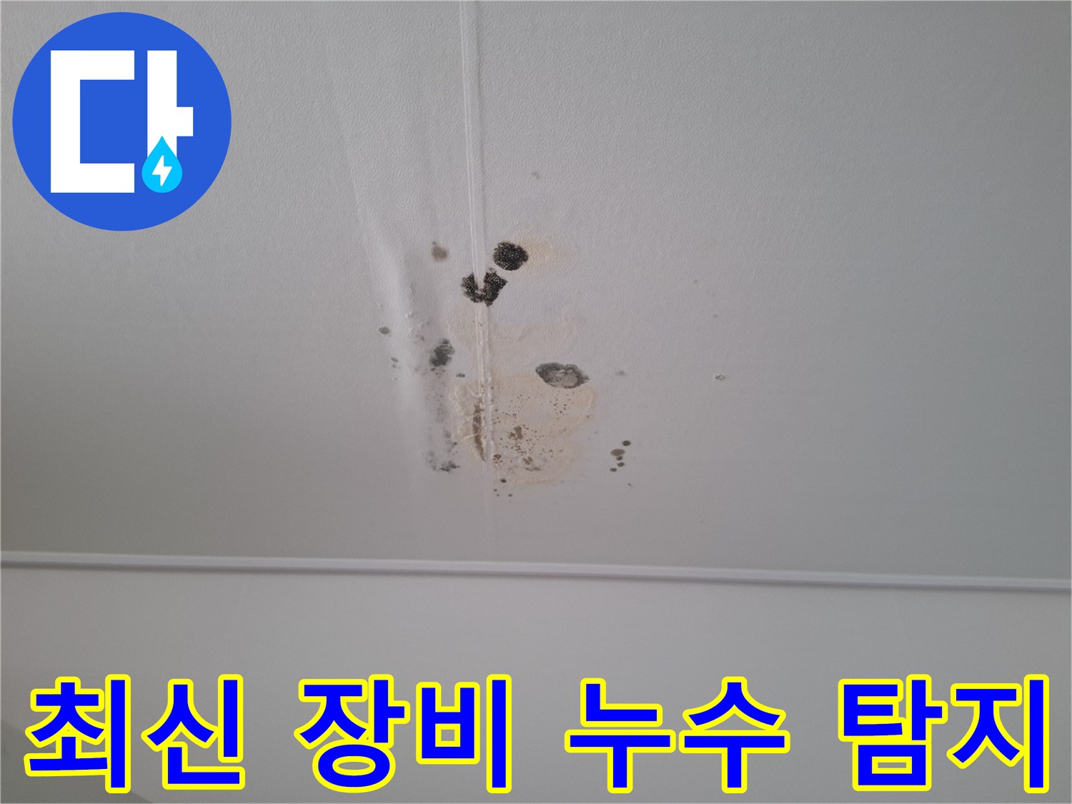 분당 삼평동 봇들마을 아파트 - 최신 장비를 사용하여 정확한 누수 지점을 탐지합니다.