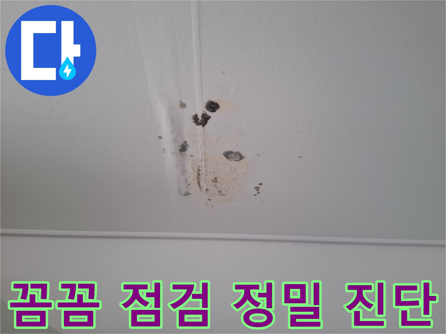 분당 삼평동 봇들마을2단지 아파트 - 꼼꼼한 점검과 정밀 진단으로 누수 원인을 정확하게 파악합니다.