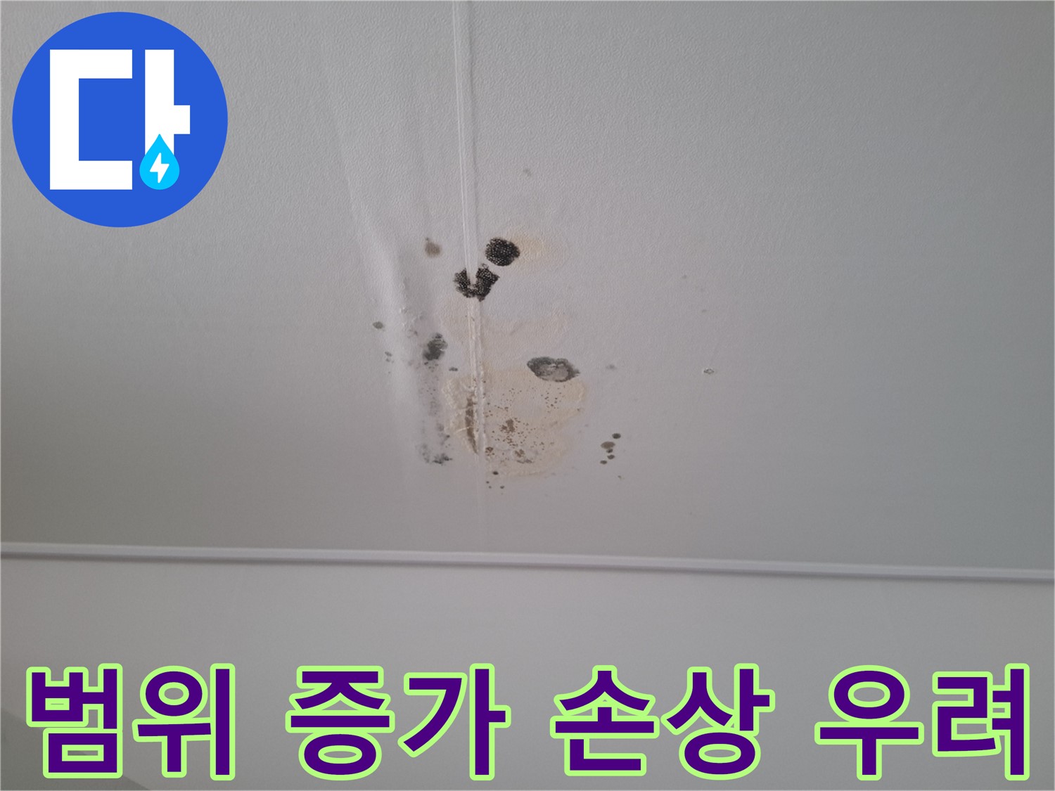 분당 삼평동 봇들마을2단지 아파트 - 누수 범위가 증가하고 있어 - 건물 손상이 우려됩니다.
