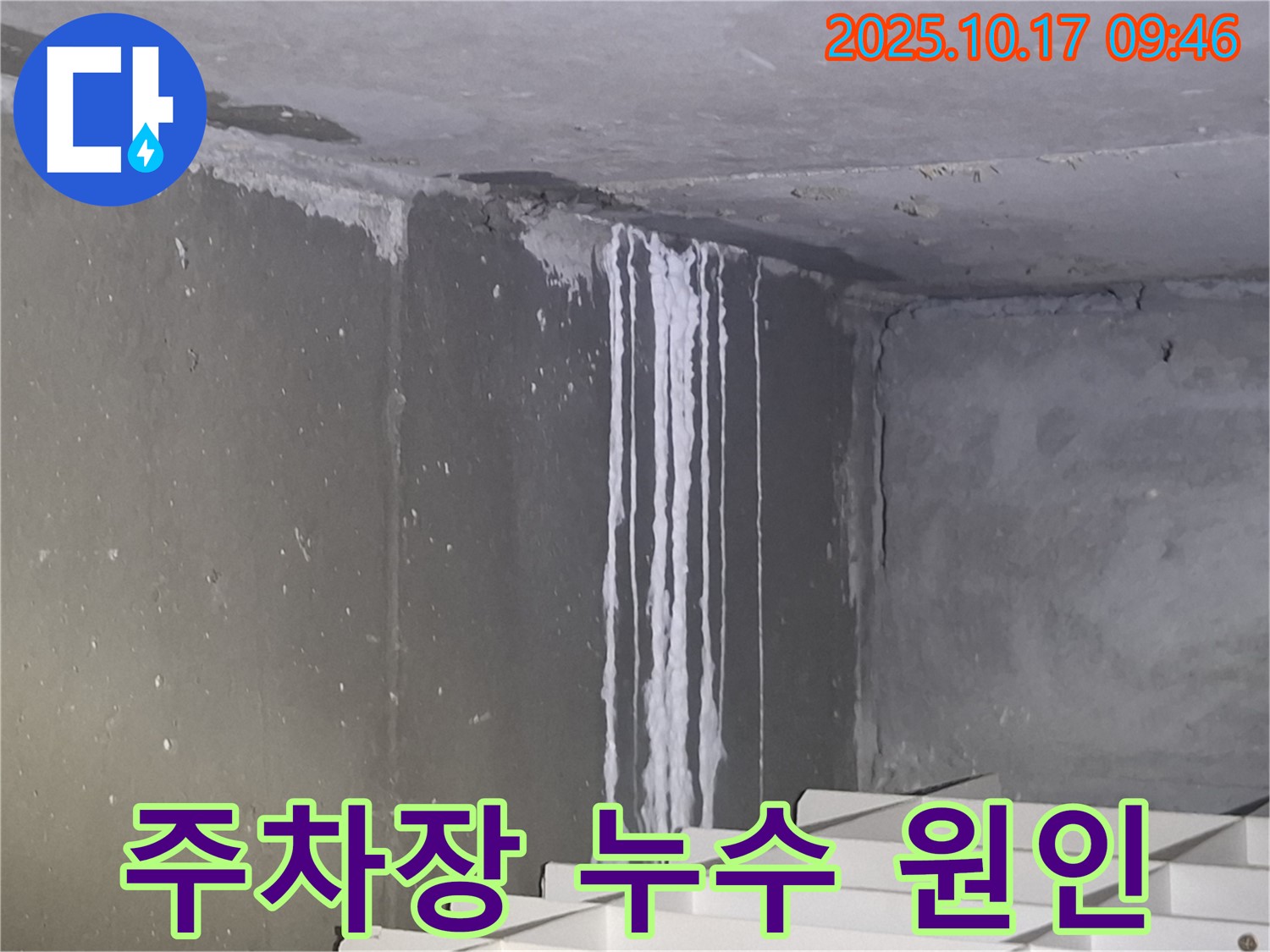 분당 삼평동 봇들마을2단지 아파트 지하주차장 누수 현장 - 누수 흔적을 토대로 누수 원인 파악에 집중하고 있습니다.