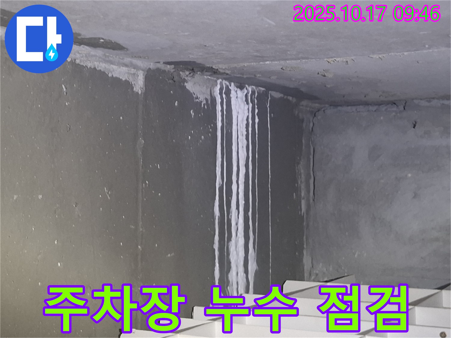 분당 삼평동 봇들마을2단지 아파트에서 지하주차장 누수 긴급 방문 점검 - 천장의 석회 자국은 오랜 기간 누수가 진행되었음을 나타냅니다.