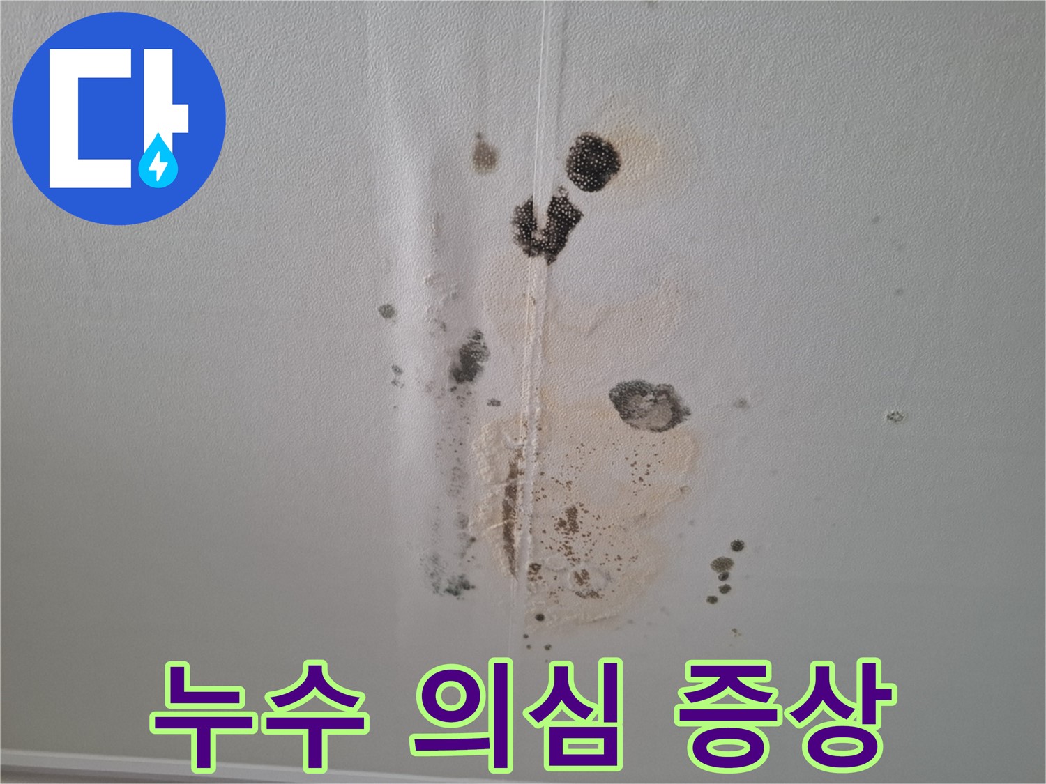 분당 삼평동 아파트 누수 - 봇들마을2단지이지더원 누수 의심 증상 발견