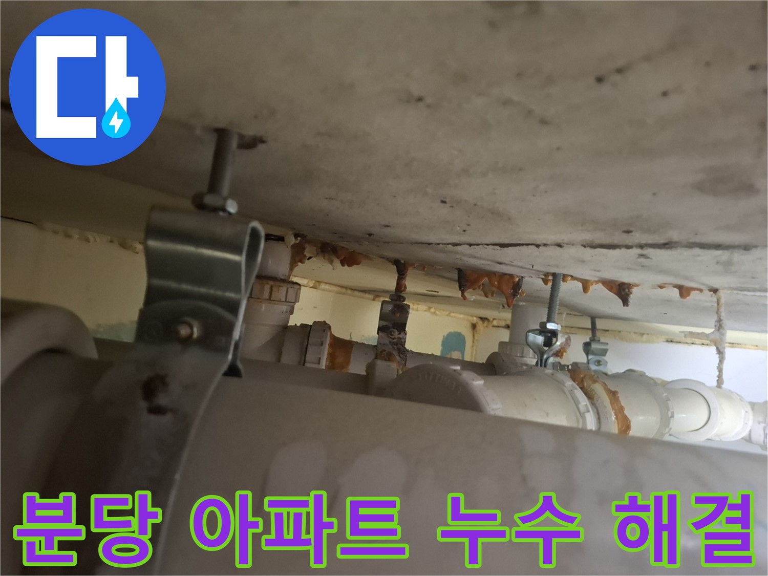 분당 아파트 누수 해결 과정 - 누수 전문가가 꼼꼼하게 탐지하고 완벽하게 공사합니다.