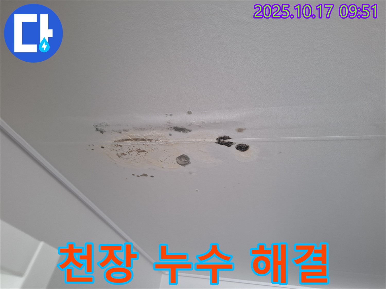 분당 아파트 천장 누수 - 곰팡이 문제를 해결하고 완벽한 누수 방지를 위한 시공