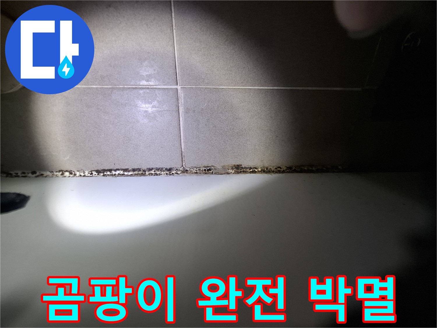 분당 욕조 곰팡이 완벽 해결 - 곰팡이 완전 박멸을 위한 최첨단 장비 시공