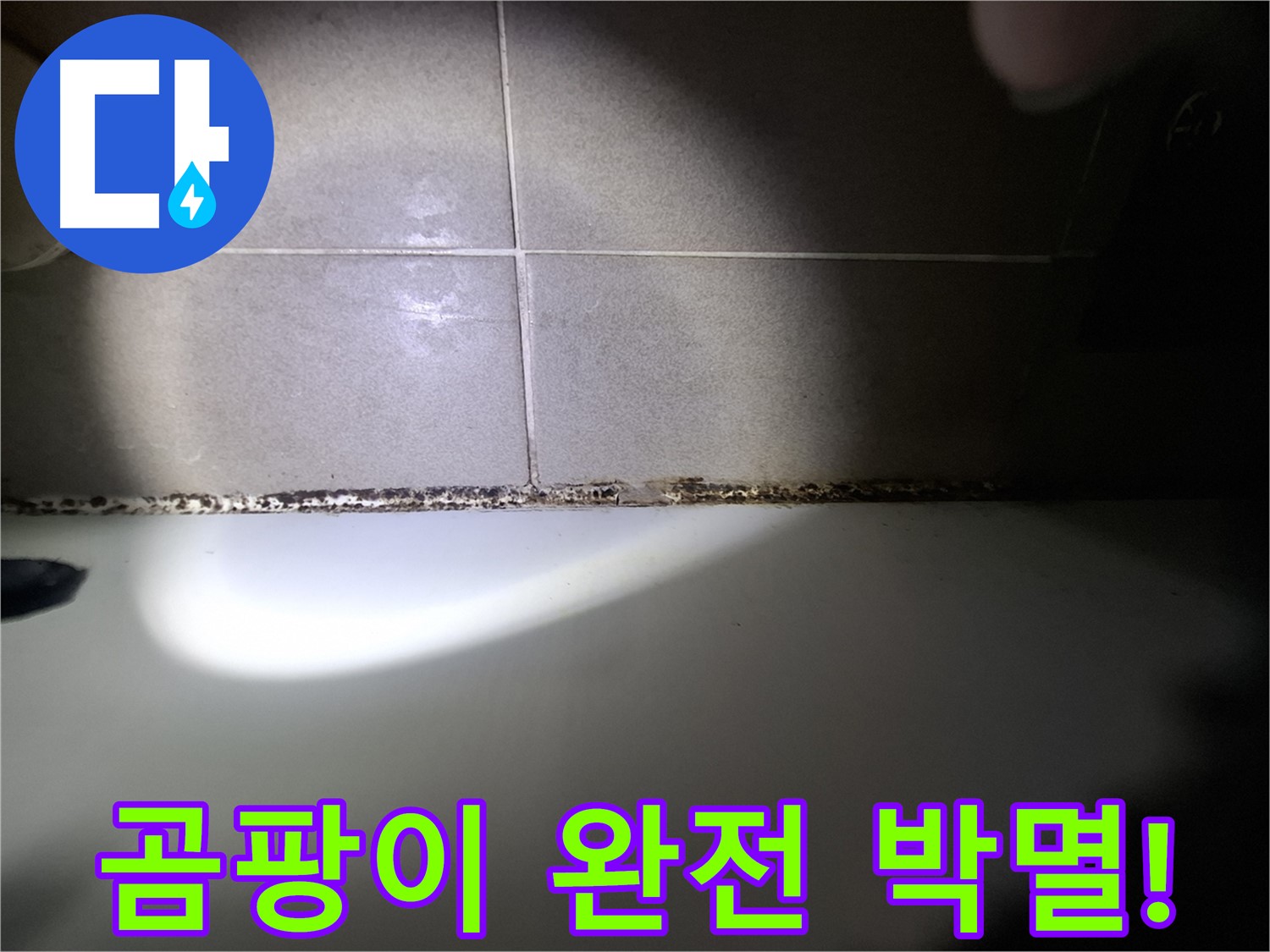 분당 욕조 곰팡이 완벽 해결 - 곰팡이 완전 박멸을 위한 최첨단 장비 시공