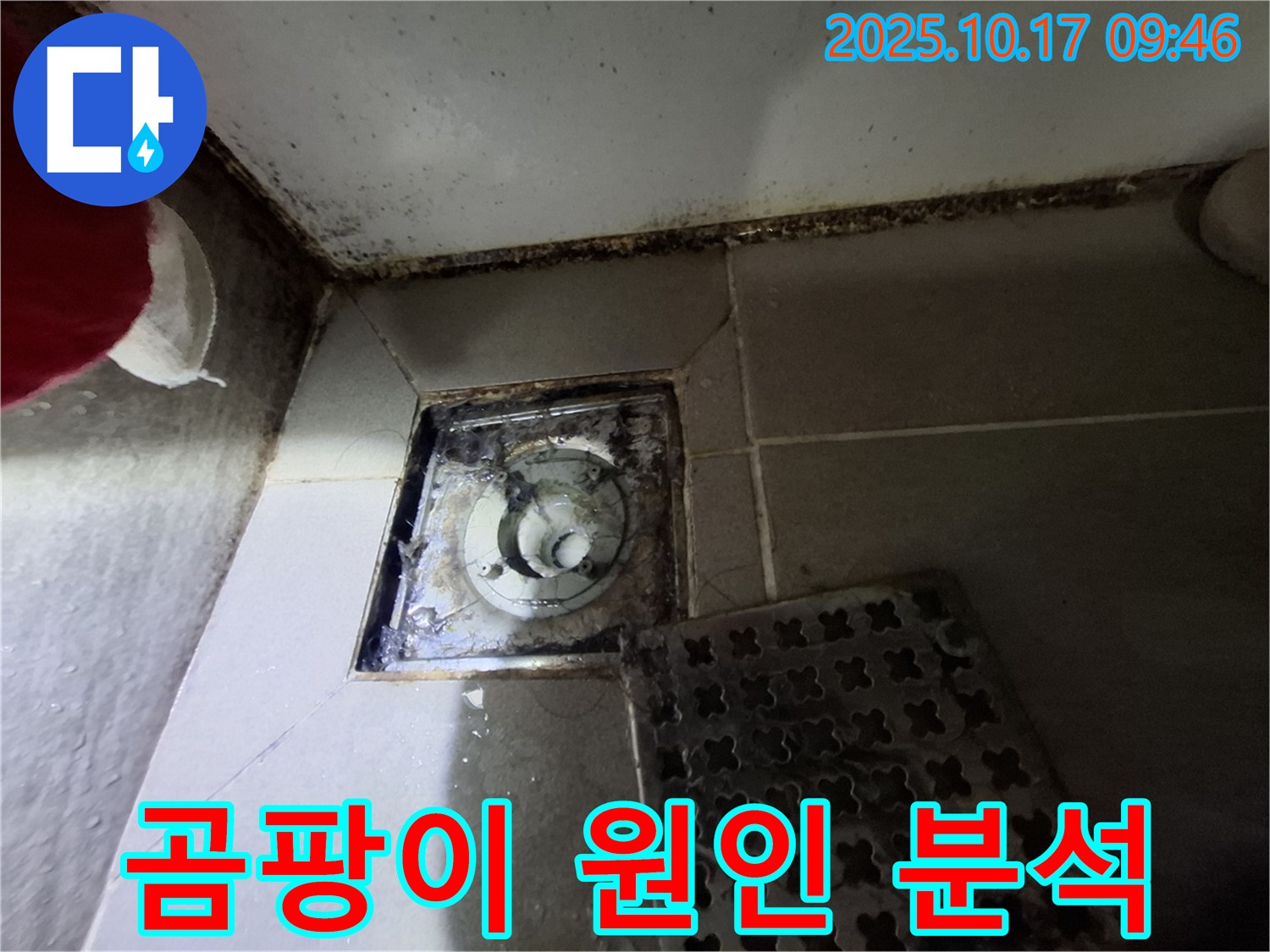 분당 판교 봇들마을 아파트 - 욕실 곰팡이 문제 - 배수 불량 및 방수층 문제 의심 - 정밀 진단으로 정확한 원인 파악.
