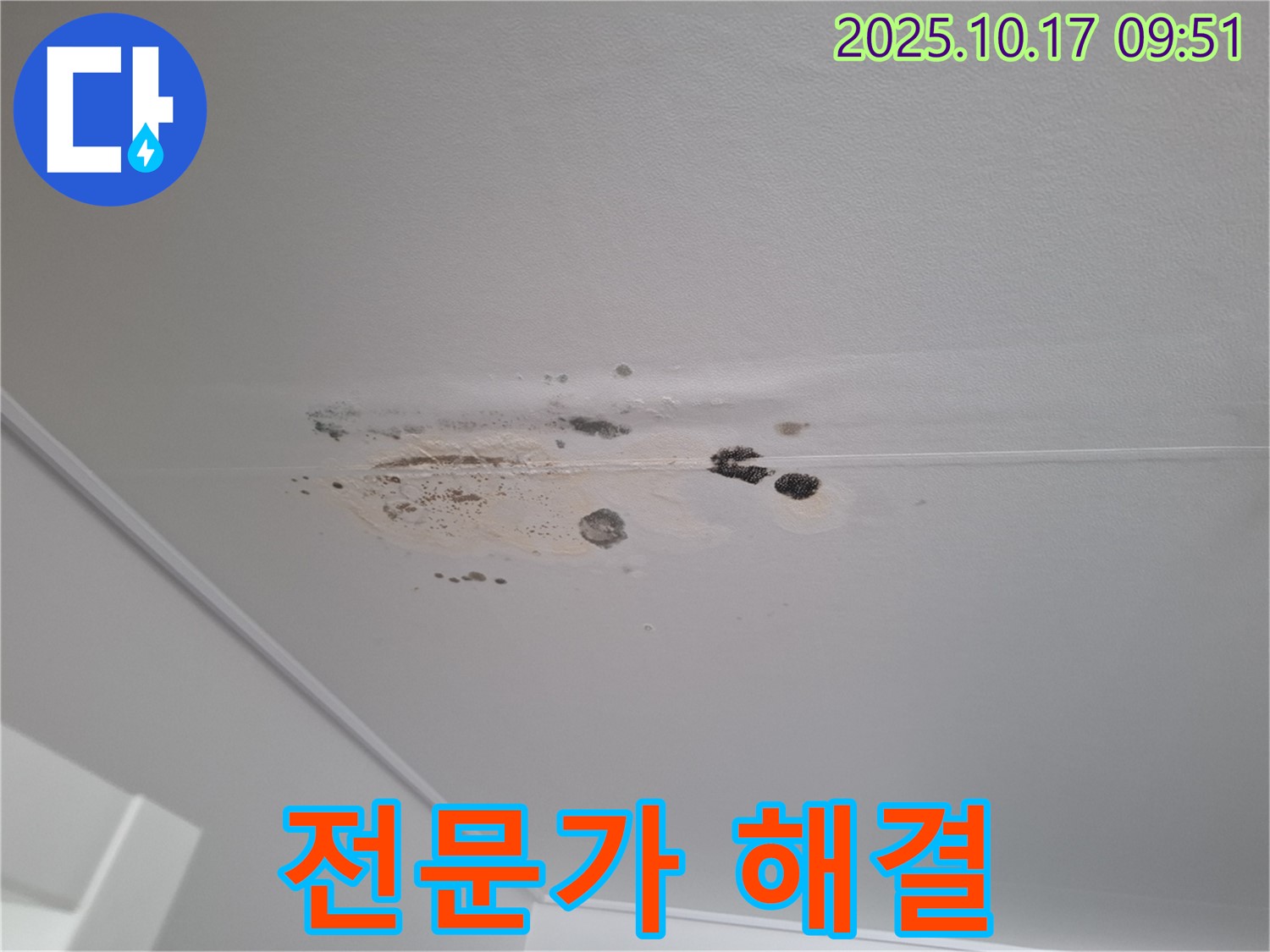 분당구 삼평동 누수 - 곰팡이 얼룩 심한 천장 - 봇들마을 누수 전문가가 해결