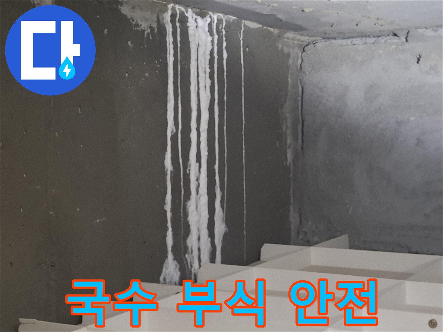 분당구 삼평동 봇들마을 아파트 누수 - 계단 '하얀 국수' 누수는 건물 부식을 유발하고 안전 문제를 야기할 수 있습니다.