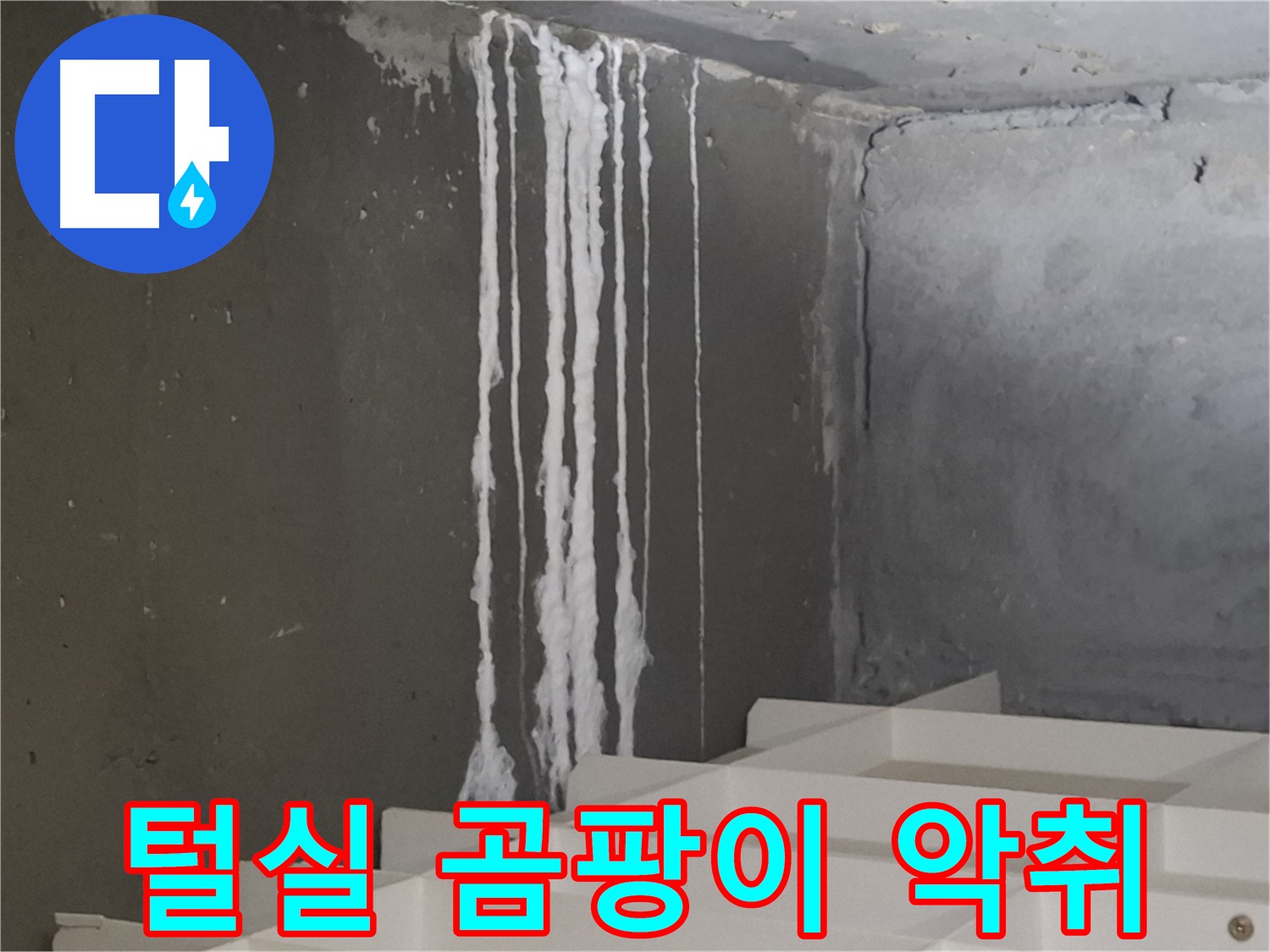분당구 삼평동 봇들마을 아파트 누수 - 계단 '하얀 털실' 누수는 곰팡이 서식과 악취 발생의 주범입니다.