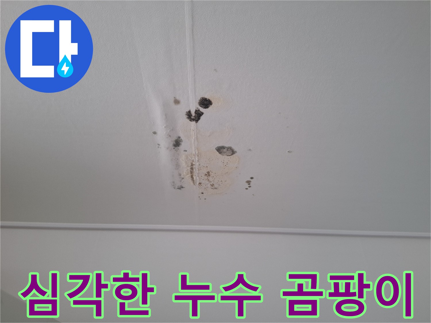분당구 삼평동 봇들마을 아파트 - 심각한 천장 누수와 곰팡이 발생 현장