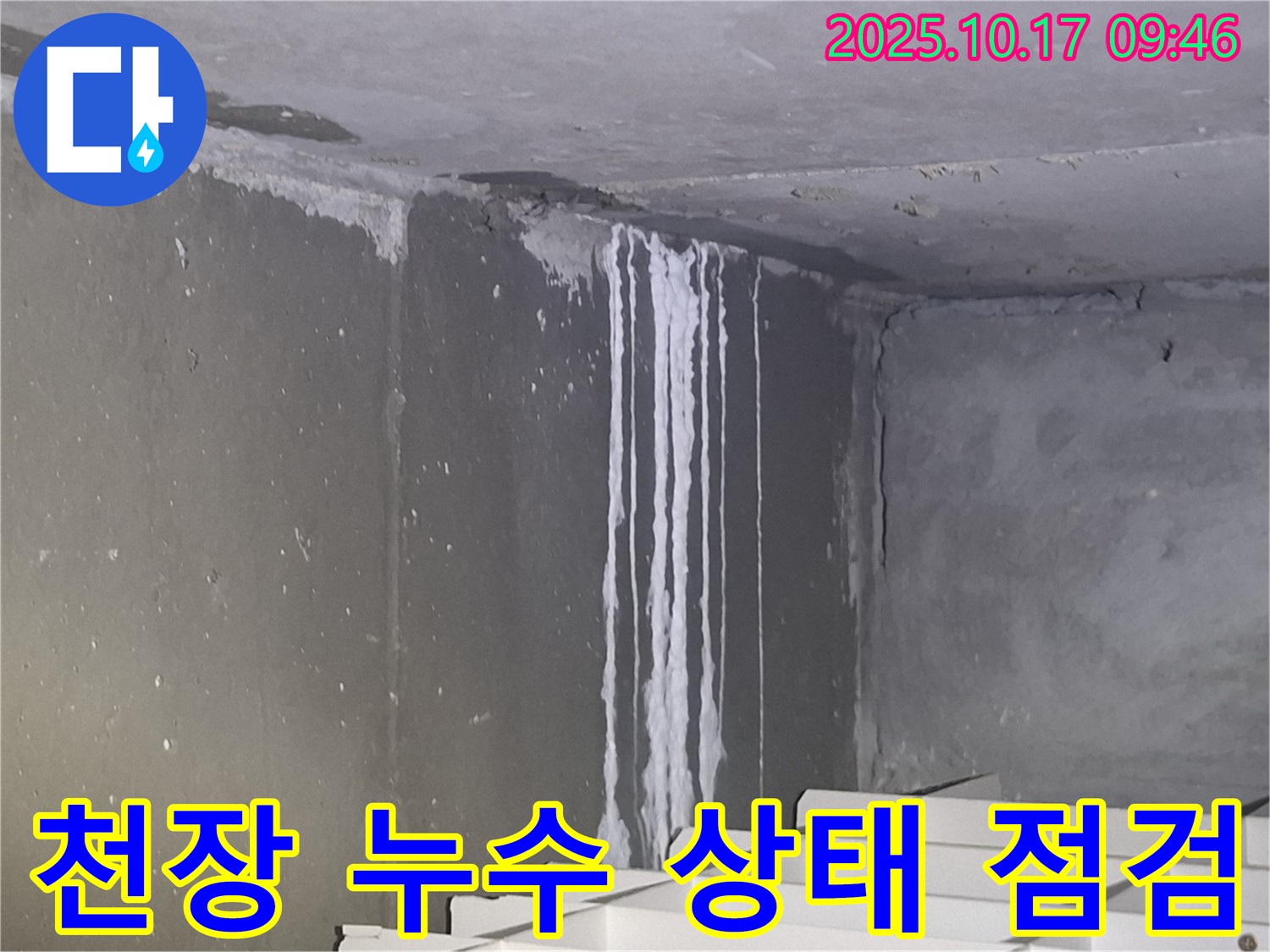 분당구 삼평동 봇들마을2단지 아파트 계단실 천장 - 누수 진행 상태를 상세하게 점검하고 원인을 파악하고 있습니다.