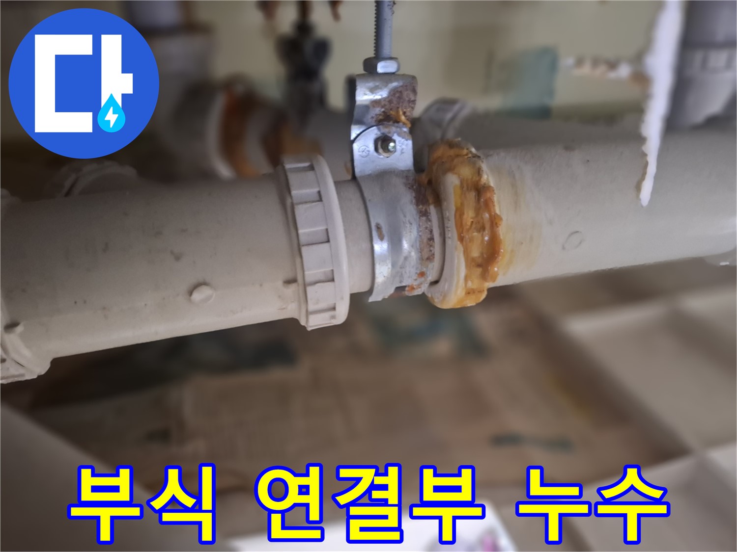 분당구 삼평동 봇들마을2단지 아파트 누수 - 노후 배관과 부식된 연결 부위에서 누수가 발생한 원인을 정밀 분석합니다.