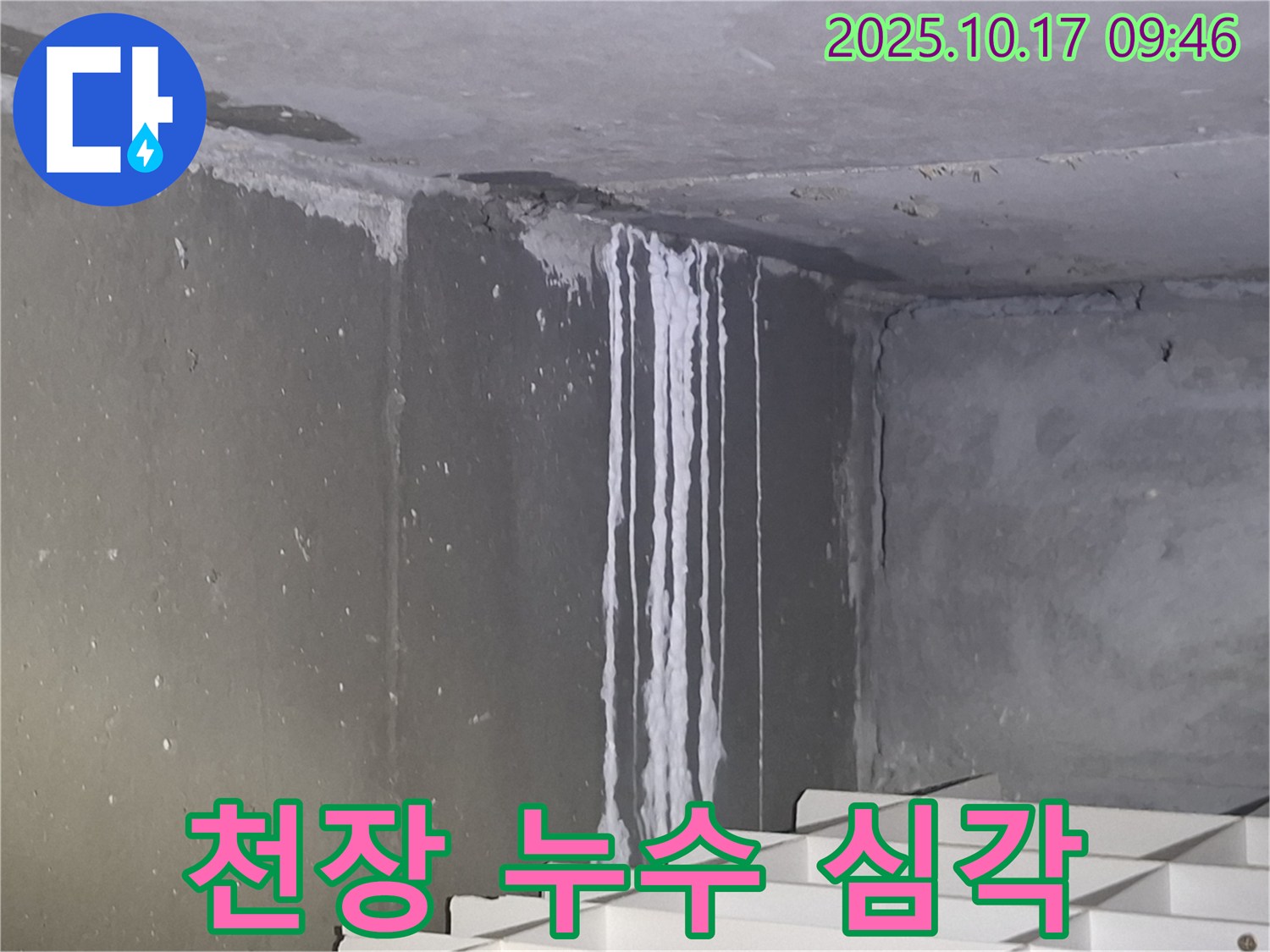 분당구 삼평동 봇들마을2단지 아파트 천장 누수 - 석회수가 흘러내려 누수의 심각한 상태를 보여줍니다.