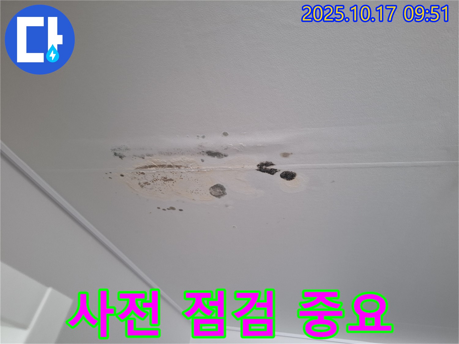 삼평동 누수 - 곰팡이 핀 천장 - 누수 발생 전 사전 점검의 중요성 강조