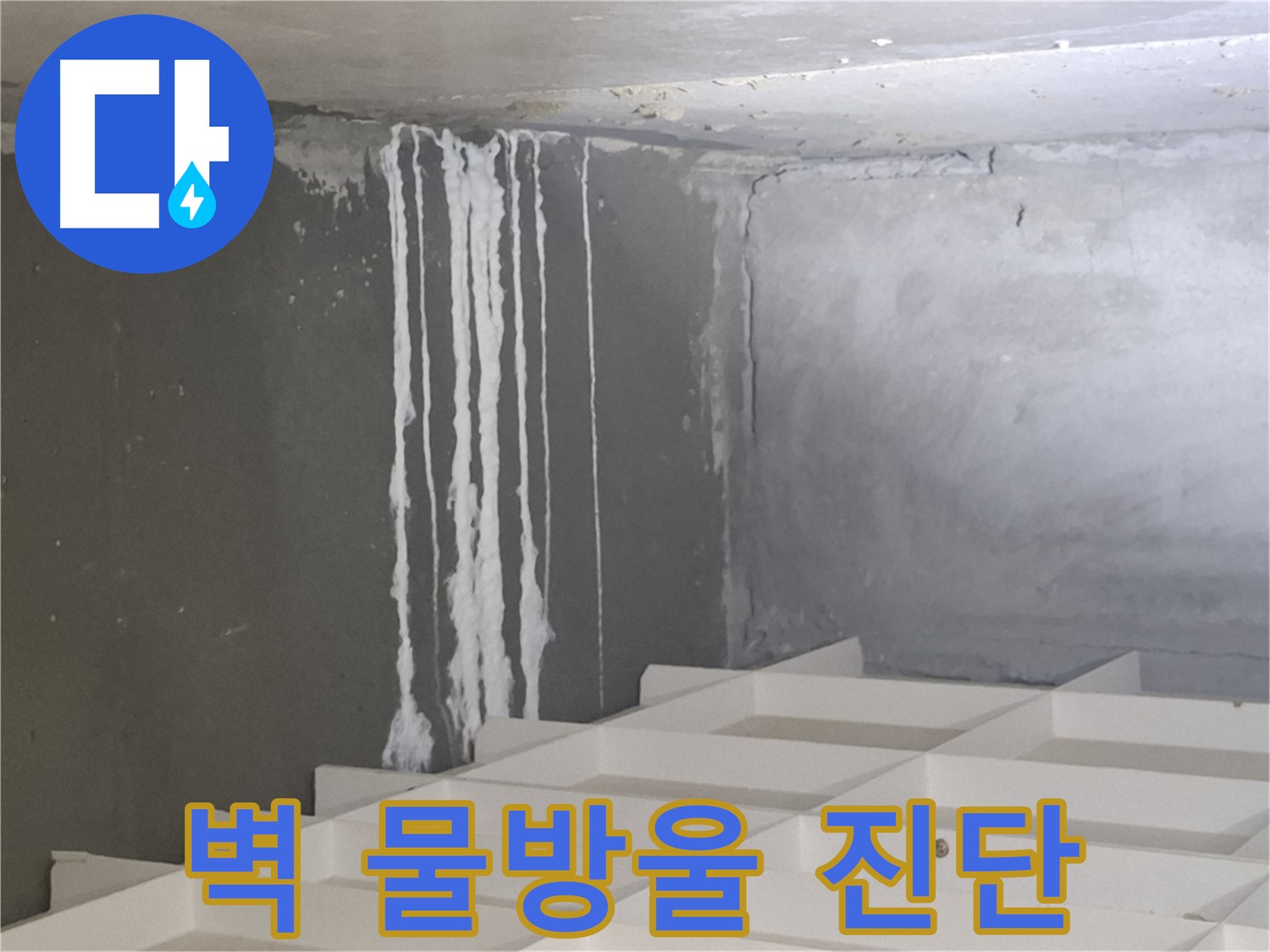 삼평동 누수 - 벽에 맺힌 하얀 물방울, 누수와 관련된 석회 성분일 가능성 진단