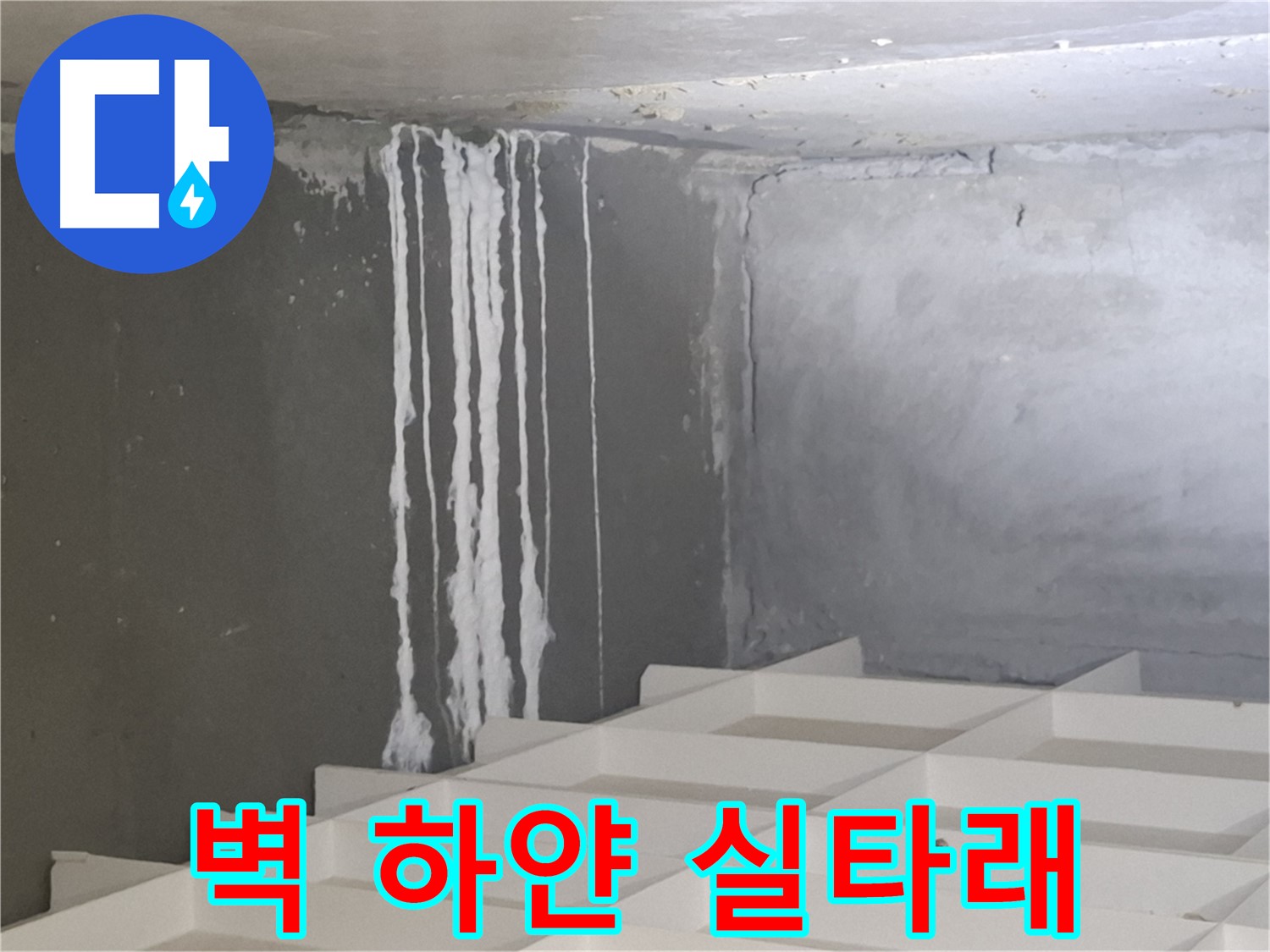 삼평동 누수 - 벽에 생긴 하얀 실타래, 누수와 관련된 석회 성분일 가능성 진단
