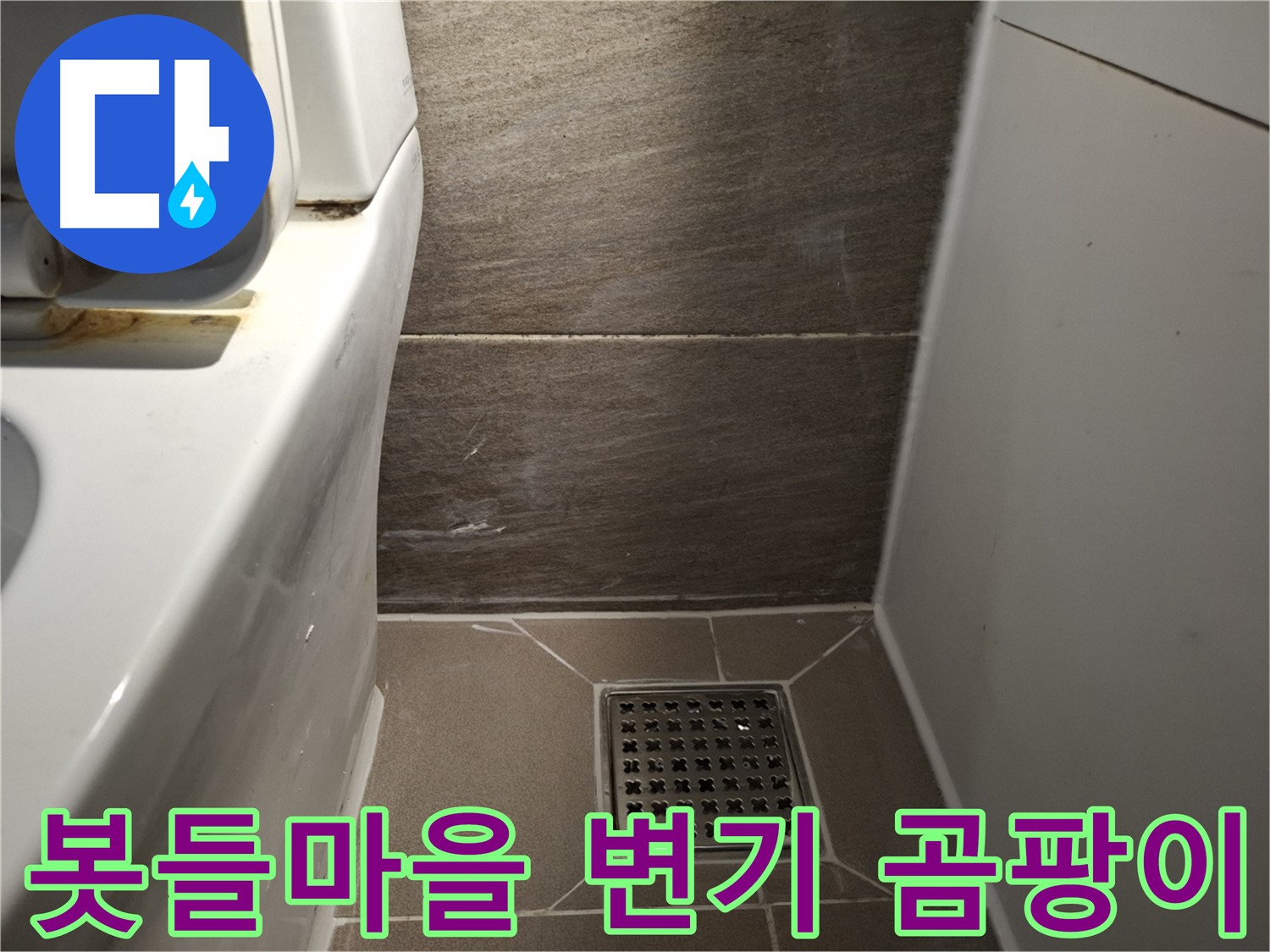 판교 봇들마을 변기 테두리 곰팡이 - 누수 신호?