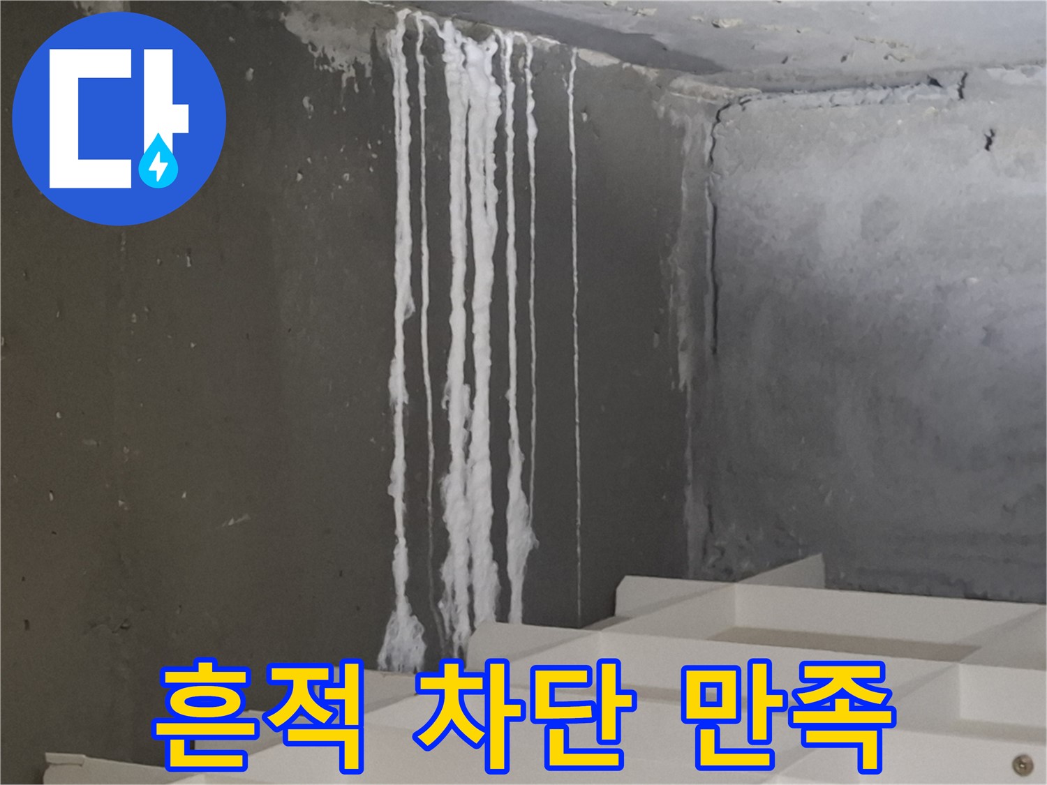 삼평동 봇들마을 아파트 누수 - 계단 누수를 '흔적 없이' 완벽하게 차단하여 100% 고객 만족을 달성했습니다.