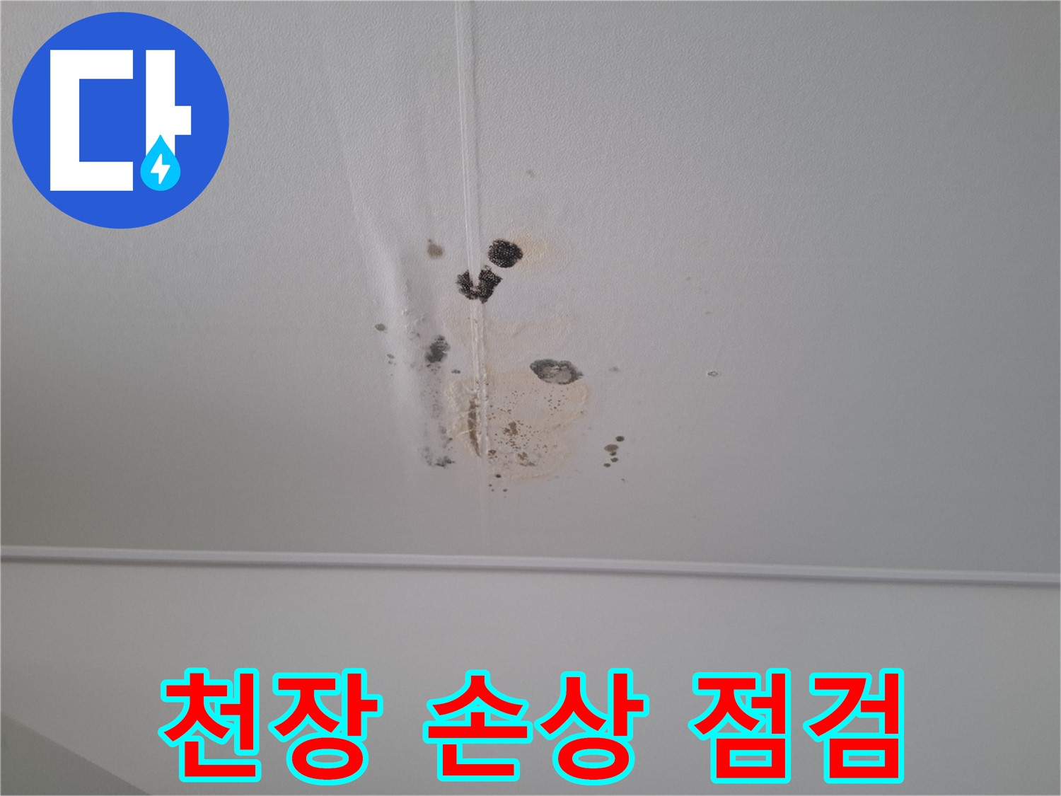 성남 봇들마을 2단지 아파트 - 천장 손상은 누수의 심각성을 나타냅니다 - 긴급 점검으로 추가 피해를 막아야 합니다.