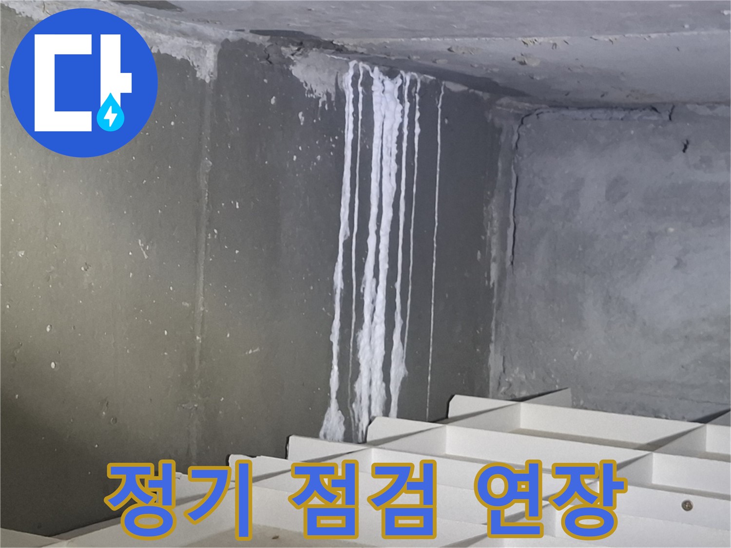 성남 봇들마을2단지 아파트 누수 - 정기적인 점검으로 건물 수명 연장