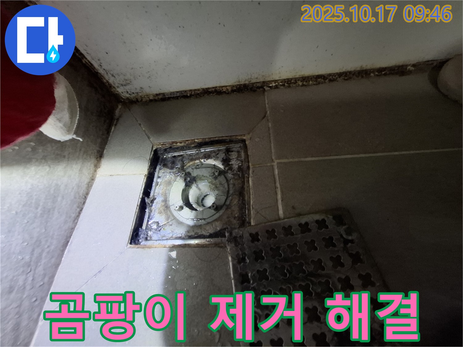 성남 봇들마을2단지 아파트 - 욕실 배수구 곰팡이 제거 - 누수 신속 해결 - 쾌적한 욕실 환경을 되찾아 드립니다 - 빠른 서비스.