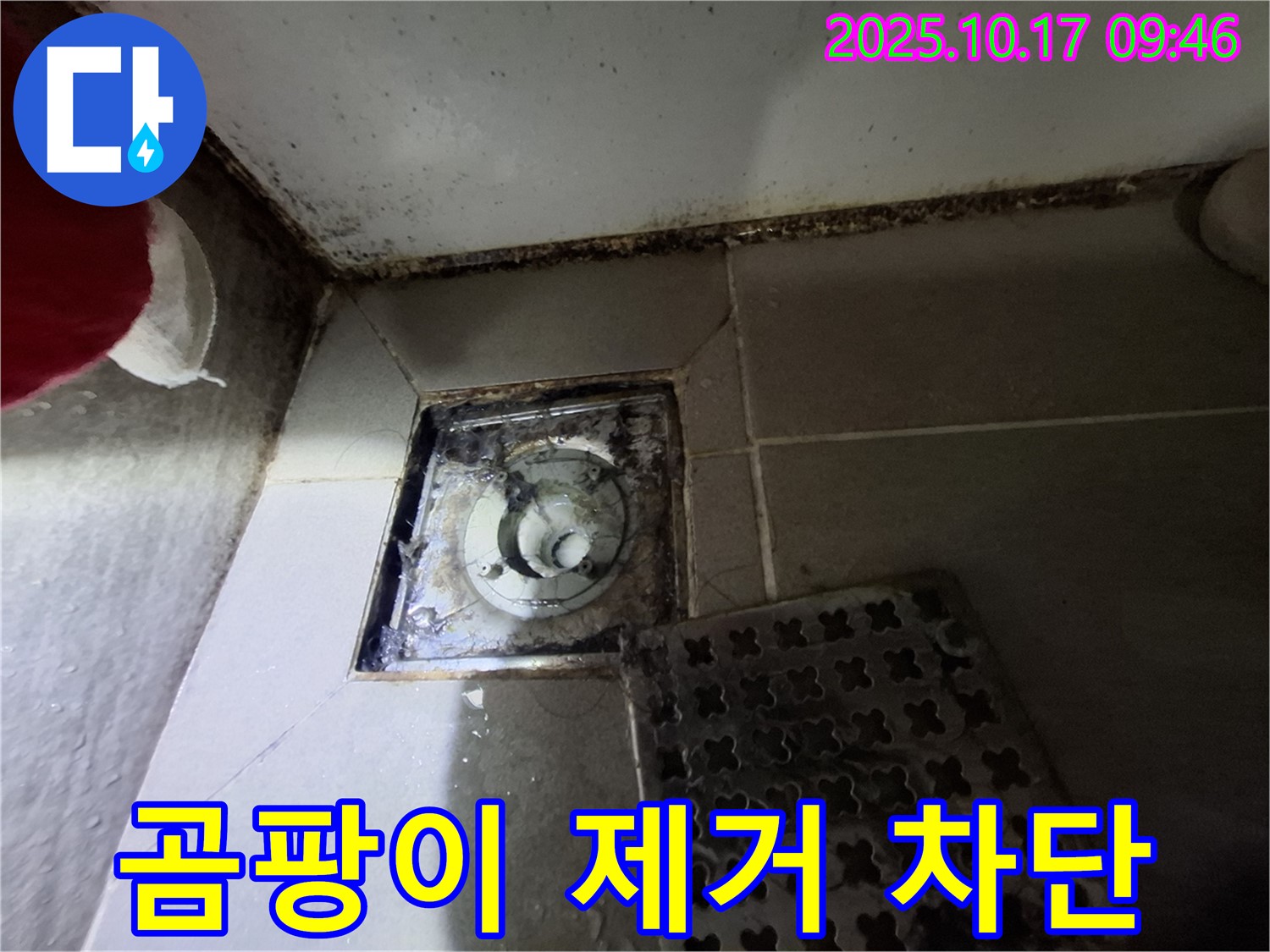 성남 봇들마을2단지 아파트 욕실 배수구 곰팡이 제거 - 누수 완벽 차단 - 쾌적한 욕실을 만들어 드립니다.
