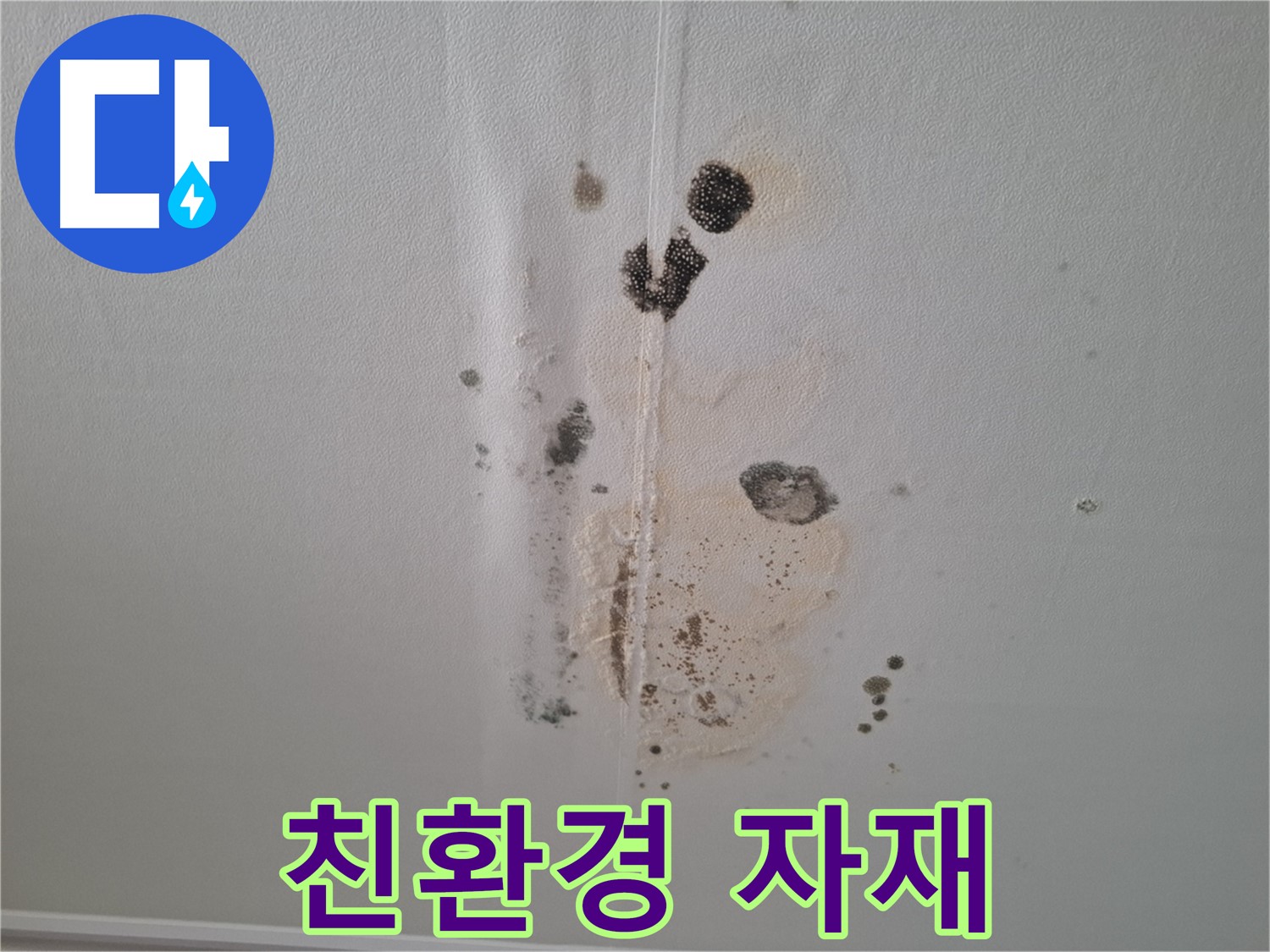 성남 분당 누수 - 곰팡이 문제 친환경 자재 사용으로 안전하게 해결