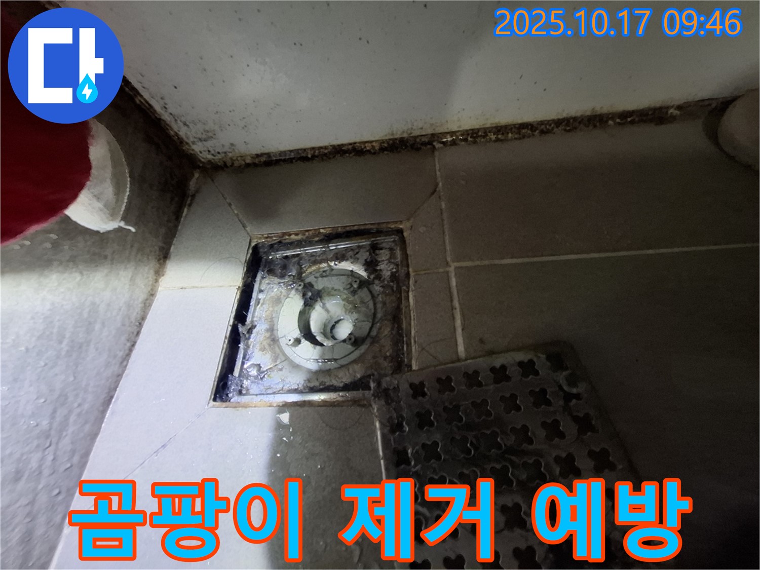성남 분당 봇들마을 아파트 - 욕실 배수구 곰팡이 제거 - 누수 예방 솔루션 - 쾌적한 욕실 환경을 위한 최고의 선택.