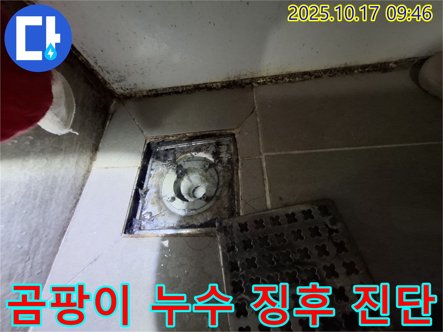 성남 분당 봇들마을 아파트 욕실 배수구 - 곰팡이와 누수 초기 징후 발견 - 정밀 검사가 필요합니다 - 누수 진단 전문가.