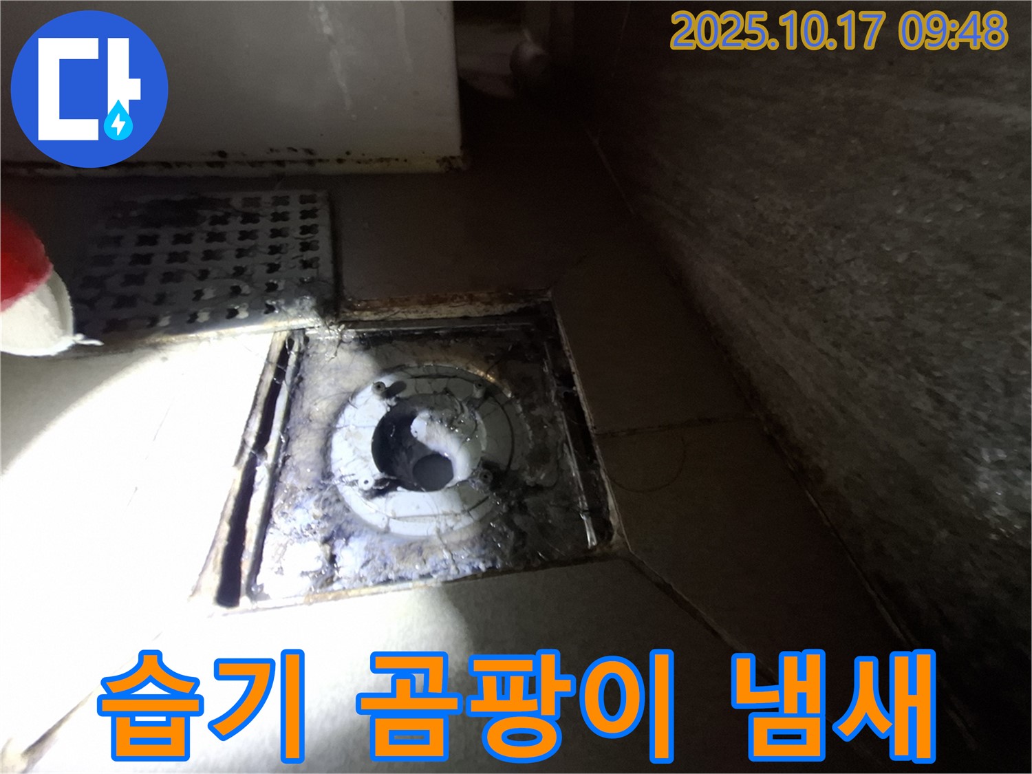 성남 분당 삼평동 봇들마을 아파트 욕실 배수구 주변 습기와 곰팡이 냄새 - 누수 가능성을 진단하고 위생 문제를 해결합니다.