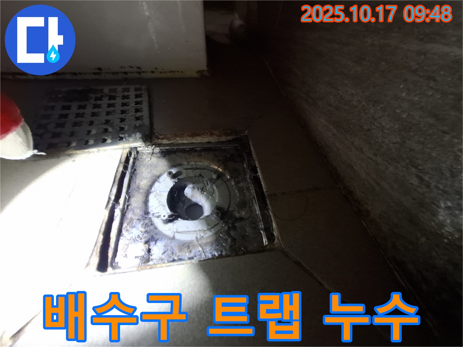 성남 분당 삼평동 봇들마을 아파트 욕실 배수구 트랩 누수 - 전문적인 기술과 장비로 누수 문제를 해결했습니다.