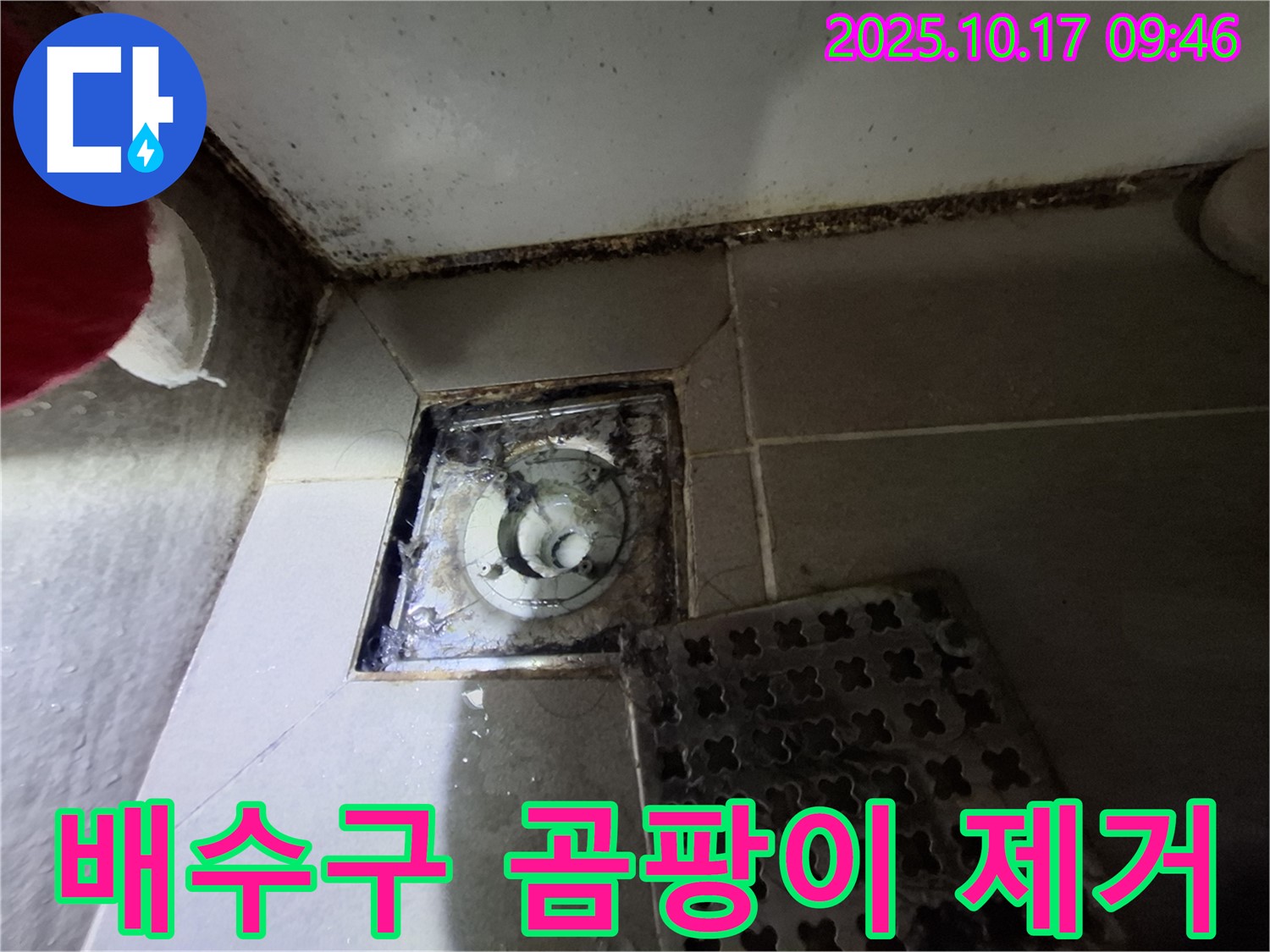 성남 분당구 삼평동 봇들마을 아파트 욕실 배수구 곰팡이 완벽 제거 - 쾌적한 욕실 환경을 만들어 드립니다.