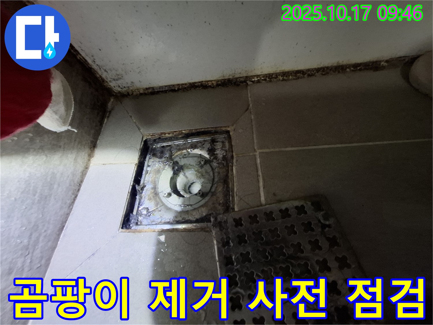 성남 분당구 삼평동 봇들마을 아파트 욕실 배수구 - 곰팡이 제거 및 누수 사전 점검 - 쾌적한 욕실 환경을 위한 첫걸음.