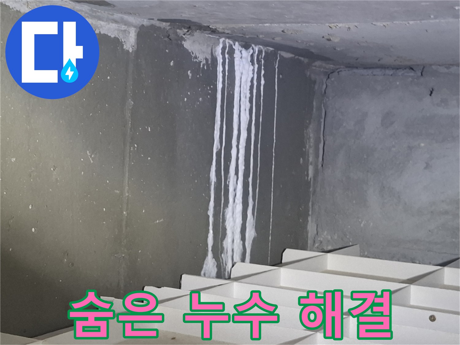 성남 삼평동 봇들마을 아파트 누수 - 주차장 누수, 첨단 장비로 숨은 누수까지 완벽 해결