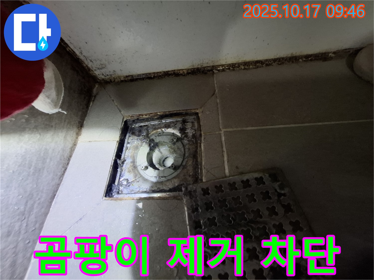 성남 판교 봇들마을 아파트 - 욕실 배수구 곰팡이 제거 - 누수 완벽 차단 - 꼼꼼한 시공으로 쾌적한 욕실 환경을 만들어 드립니다.